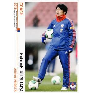 Jカード TEメモラビリア アルビレックス新潟 2013 レギュラー 【OB