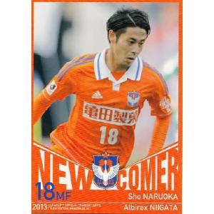 Jカード TEメモラビリア アルビレックス新潟 2013 レギュラー 【OB