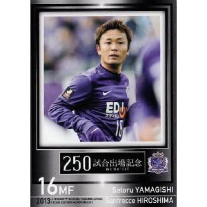Jカード TEメモラビリア サンフレッチェ広島 2013 レギュラー 02 西川