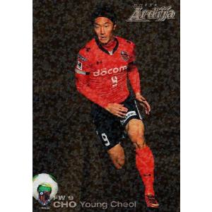 クラブ発行】2014 ヴァンフォーレ甲府 オフィシャルカード レギュラー