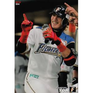 144 前田健太 (広島東洋カープ)】カルビー 2014プロ野球チップス第2弾
