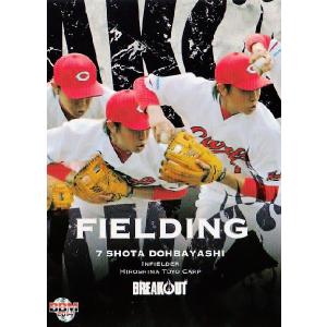 5 【堂林翔太 (広島東洋カープ)】BBM2014 堂林翔太カードセット