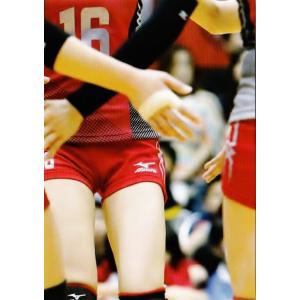 全日本女子バレーオフィシャルカード2014 「火の鳥NIPPON 全日本女子バレーオフィシャルカード2014 「火の鳥NIPPON