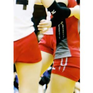 13 【岩坂名奈】全日本女子バレーオフィシャルカード2019 「火の鳥