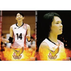 全日本女子バレーオフィシャルカード2014 「火の鳥NIPPON