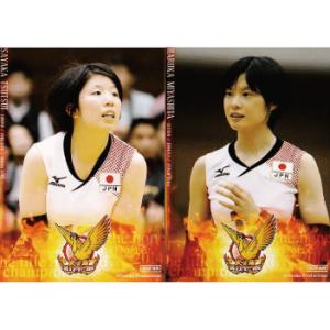 全日本女子バレーオフィシャルカード2014 「火の鳥NIPPON