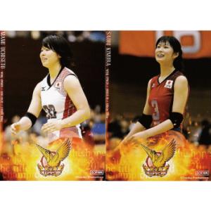 全日本女子バレーオフィシャルカード2014 「火の鳥NIPPON