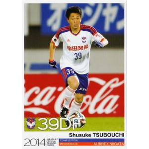 Jカード TEメモラビリア アルビレックス新潟 2014 レギュラー AN08