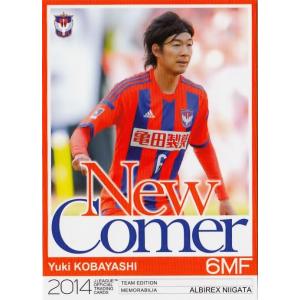 Jカード TEメモラビリア アルビレックス新潟 2014 レギュラー AN08