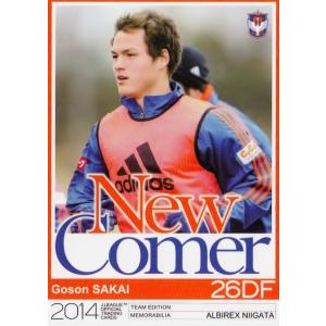 サッカー日本代表オフィシャルカード2013 スペシャルインサート 【日本