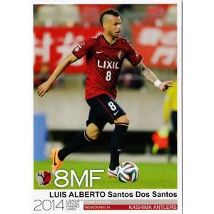 Jカード TEメモラビリア 鹿島アントラーズ 2013 レギュラー 13 本田