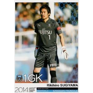 Jカード TEメモラビリア 川崎フロンターレ 2014 レギュラー 【ゴール