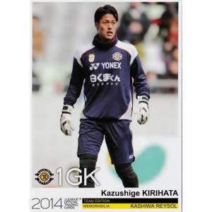 Jカード TEメモラビリア 柏レイソル 2014 レギュラー KR12 狩野健太