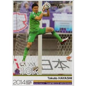 Jカード TEメモラビリア サンフレッチェ広島 2014 レギュラー SH09