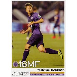 Jカード TEメモラビリア サンフレッチェ広島 2014 レギュラー SH09