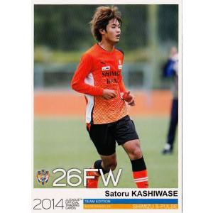 Jカード TEメモラビリア 清水エスパルス 2014 レギュラー SS23 高木