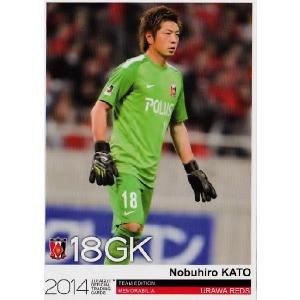 Jカード TEメモラビリア 浦和レッズ 2014 レギュラー 【ポジション別