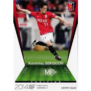 12-13 サッカー日本代表SE インサート 【日本代表ゴールゲッターカード