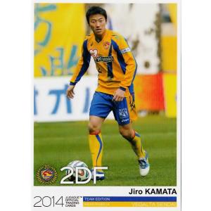 Jカード TEメモラビリア ベガルタ仙台 2014 レギュラー VS12 柳沢敦