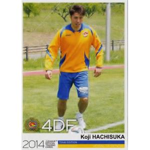 Jカード TEメモラビリア ベガルタ仙台 2014 レギュラー VS12 柳沢敦