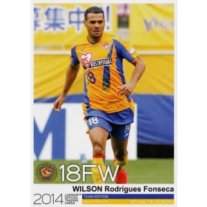 Jカード TEメモラビリア ベガルタ仙台 2014 レギュラー VS12 柳沢敦