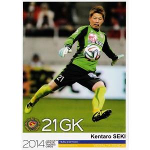 Jカード TEメモラビリア ベガルタ仙台 2014 レギュラー VS12 柳沢敦