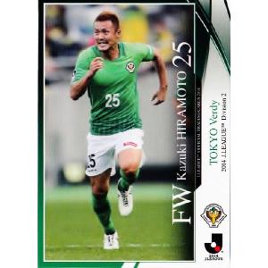 2014 Jリーグオフィシャルカード レギュラー 166 林卓人