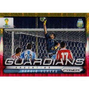 2014Panini Prizm FIFA World Cup Soccer 【Wave Prizmsパラレル 