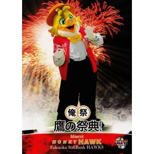 16 【長谷川勇也】BBM 福岡ソフトバンクホークスカードセット 「鷹の