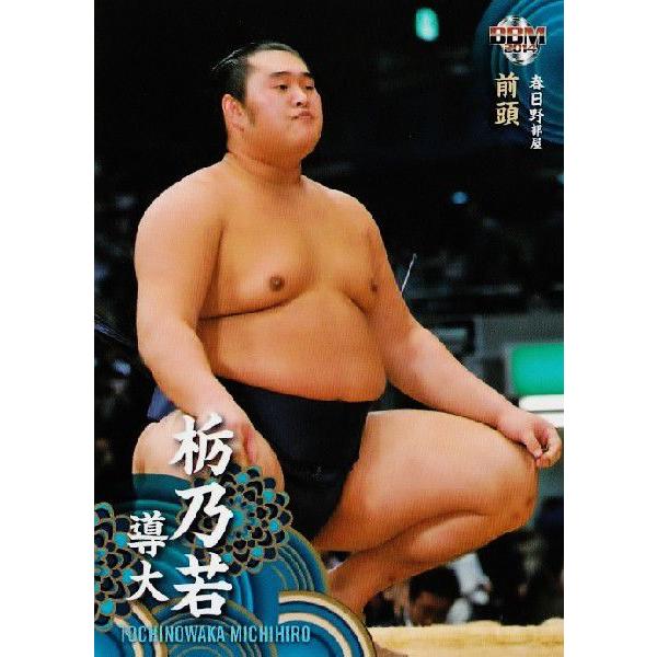 BBM 大相撲カード 2014 レギュラー 18 栃乃若 導大