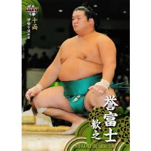 BBM 大相撲カード 2014 レギュラー 67 丹蔵 隆浩 : スポーツカード
