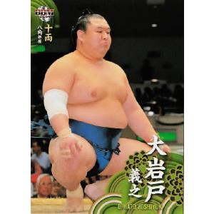BBM 大相撲カード 2014 レギュラー 18 栃乃若 導大 : スポーツカード
