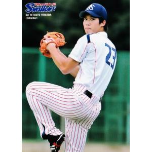 6 【山田哲人】[球団公認] 東京ヤクルトスワローズ2014 レギュラー