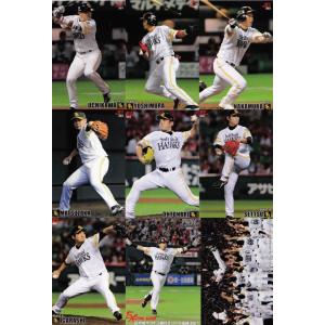 中日ドラゴンズ】カルビー 2015プロ野球チップス第1弾 【チーム別