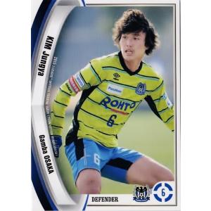 Jカード TEメモラビリア ガンバ大阪 2015 レギュラー GO17 藤ヶ谷陽介