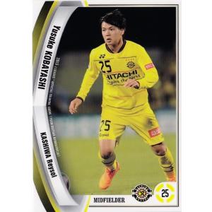 Jカード TEメモラビリア 柏レイソル 2015 レギュラー KR02 桐畑和繁