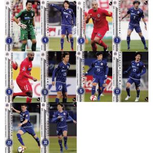 2015 Jリーグオフィシャルカード 【チームコンプリートセット】 大宮