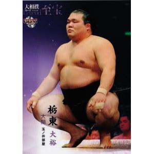 BBM2015 大相撲カードレジェンド「至宝」 レギュラー 35 関脇 琴錦 功