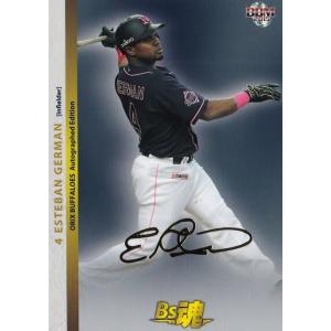 24 【坂口智隆】BBM2015 オリックス・バファローズカードセット 「Bs魂