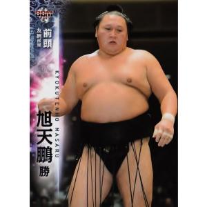 BBM2013 大相撲カードレジェンド 〜GLORY〜 レギュラー 【横綱伝説