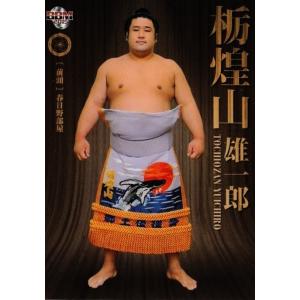 BBM2015 大相撲カード「粋」 レギュラー 11 栃煌山 雄一郎｜jambalaya