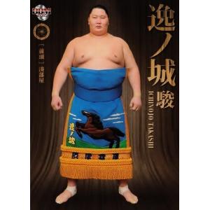 BBM2015 大相撲カード「粋」 レギュラー 12 逸ノ城 駿｜jambalaya