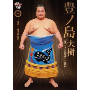 BBM2015 大相撲カード「粋」 レギュラー 19 豊ノ島 大樹｜jambalaya