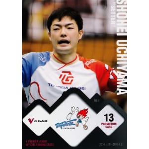 Vプレミア男子♡トレカ V・プレミアリーグ男子公式トレーディングカード2015