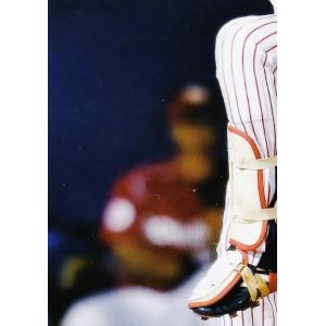 34 【館山昌平】2015第2回ファンが選ぶ「東京ヤクルトスワローズ」公式