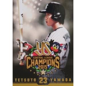 34 【館山昌平】2015第2回ファンが選ぶ「東京ヤクルトスワローズ」公式