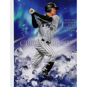 BBM ミスキャンパスカード2013 レギュラー 【首都大学東京】 045 大塚