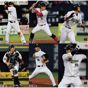 カルビー2017 野球日本代表 侍ジャパンチップス レギュラーカード No