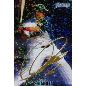 AS32 大島洋平 (中日ドラゴンズ）】カルビー2016 プロ野球チップス