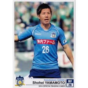37 【エブソン】[クラブ発行]2016 カマタマーレ讃岐 オフィシャル